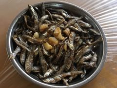 山坑小鱼干-满記土窑烧鷄波浪山莊