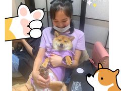 -逗柴咖啡屋·狗咖猫咖宠物桌游