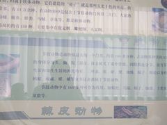 -北京中医药大学-中医药博物馆