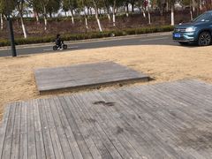 -春花秋色城市公园