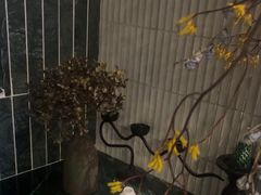 -涟LIAN·泰式按摩·MASSAGE·SPA(深业上城店)