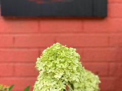 -萤火虫咖啡(后海店)