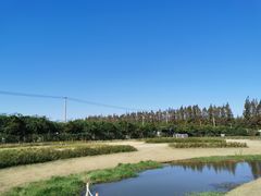 -上海长兴岛郊野公园