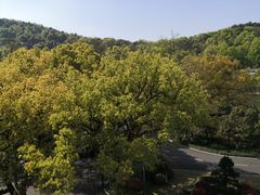 -杭州花家山庄