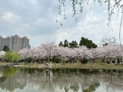 -堤角公园