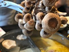 -斯普汇生蚝牛排馆(中骏世界城店)