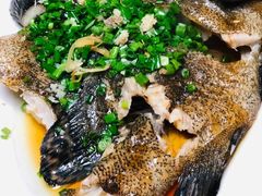 -老郑海鲜楼(天桥店)