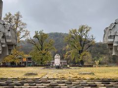-千年银杏谷文化旅游区