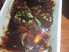 鲍鱼螺-小平岛開海水饺(浑南店)