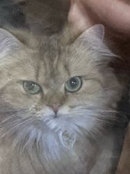 -青木造型HAIR·あおき髪を刈る潮人店