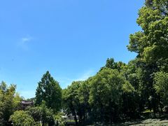 -野蔓果·山野菜(西湖景区·龙井茶田店)