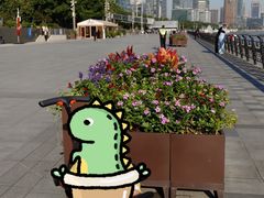 -北外滩滨江绿地