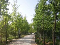 -石家庄市植物园