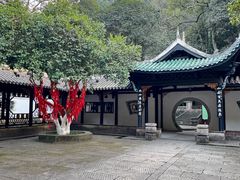 -常德桃花源景区
