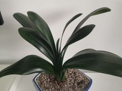 -宜昌富力皇冠假日酒店·咖啡1号西餐厅