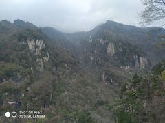 -牛背梁国家森林公园