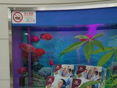 -雅悦齿科(顾村公园店)