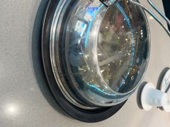 -大锅强·蒸海鲜青岛菜(吾悦广场店)