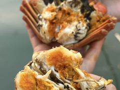 -品鲜村农家菜·阳澄湖大闸蟹(总店)