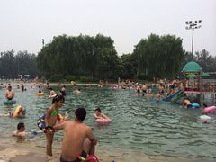 iphone_upload_pic-柳浪游泳场