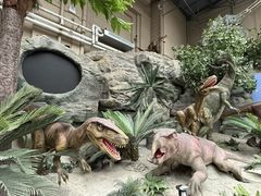 -国家自然博物馆