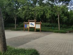 -新江湾城公园