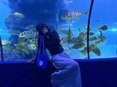 -左海海底世界
