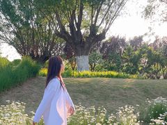 -汉长安城未央宫国家考古遗址公园