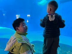 -海合安成都极地海洋公园