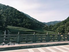 -欣怡茶庄·始于1999(梅家坞店)