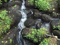 -五营国家森林公园