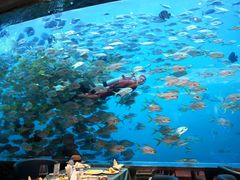 -瑞德姆美人鱼海底演艺主题餐厅(亚龙湾店)
