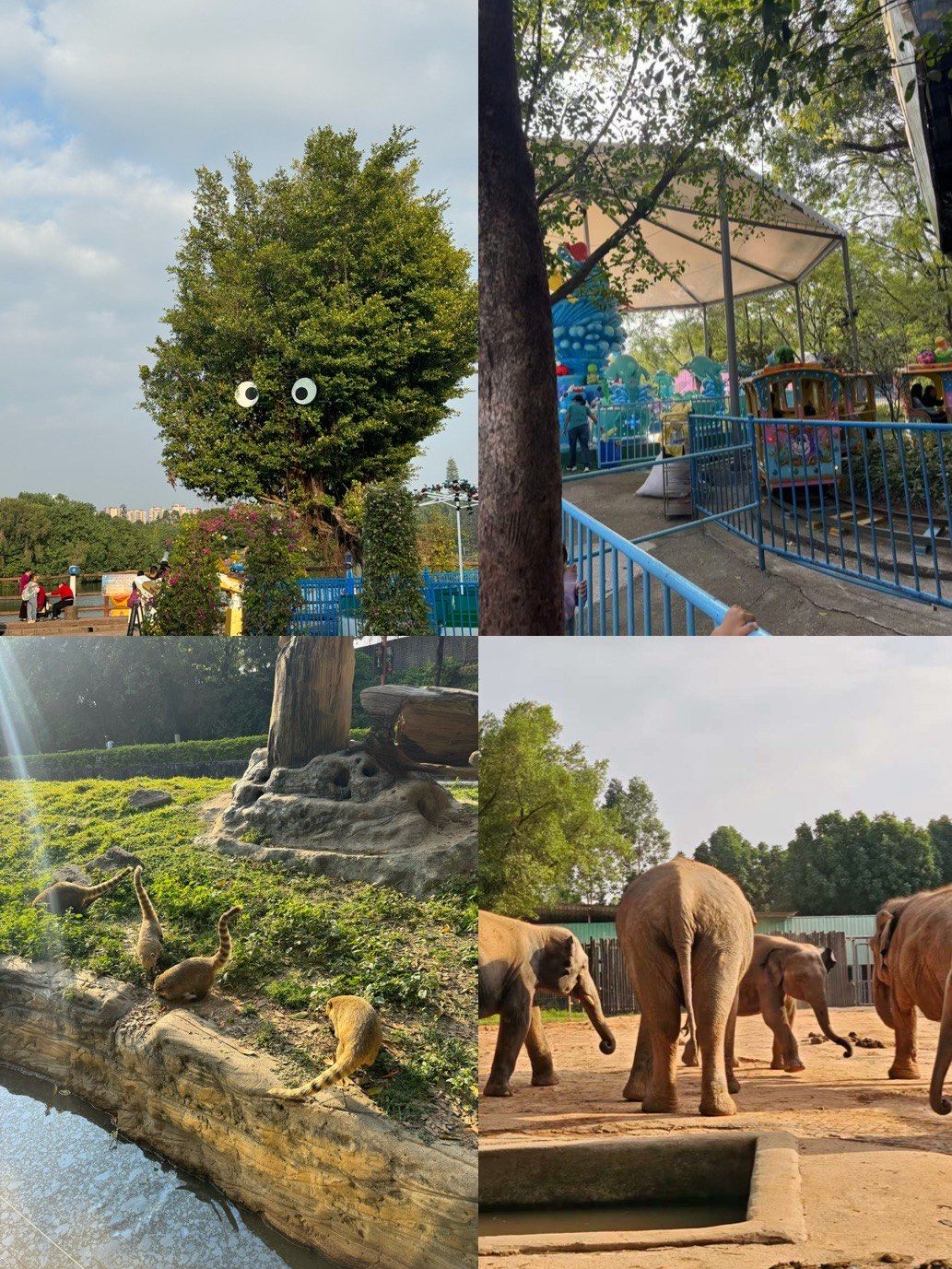 0元玩转这座城#主题乐园 #野生动物园景区攻略 #亲子游野生动物 