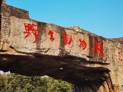-合肥野生动物园