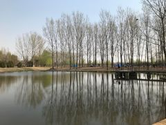 -东郊湿地公园