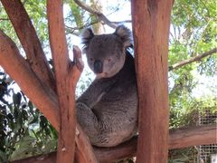 -费瑟代尔野生动物园