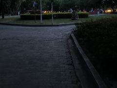 -金砂公园
