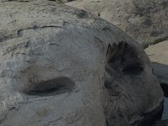 -金海湾滨江公园