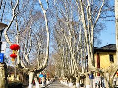 -T80科技文化国际社区-停车场