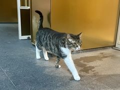 -老瑞福上海菜(人民广场店)