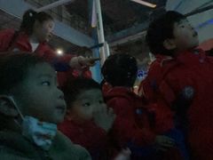 -海合安成都极地海洋公园