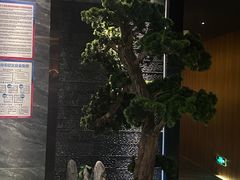 -江南足纪·影院足道·轻奢SPA(笋岗HALO广场店)