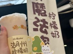 -猫的魔法密林(衣裳街店)