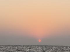 -贝壳沙滩