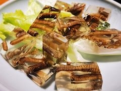 土笋冻-宋小谨·泉州菜(西沙湾店)