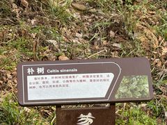 -南京老山国家森林公园