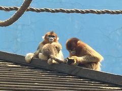 -大连森林动物园