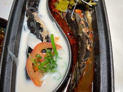 退秋鱼（一条）-锦府盐帮·李宅(领展购物广场中关村店)