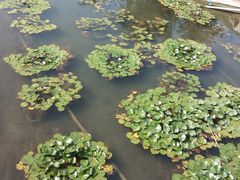 -瀛海足球主题公园