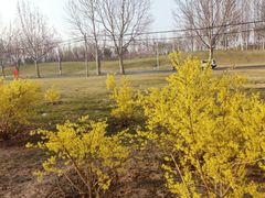 -瀛海足球主题公园